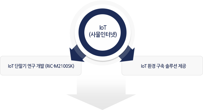 IoT(사물인터넷)-IoT 단말기 연구 개발(RiC-M2100SK), IoT 환경 구축 솔루션 제공